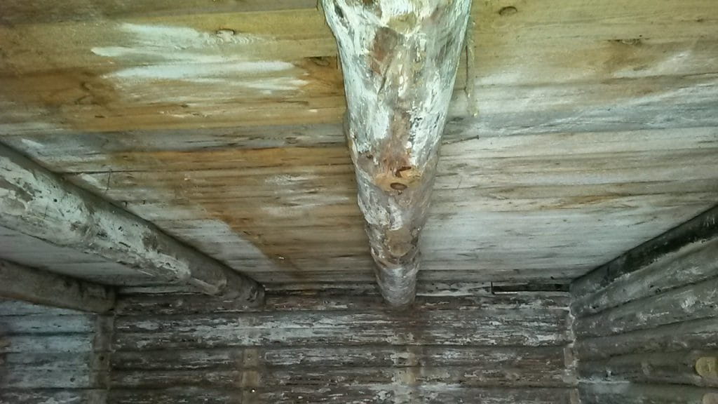 lagi enne puhastamist